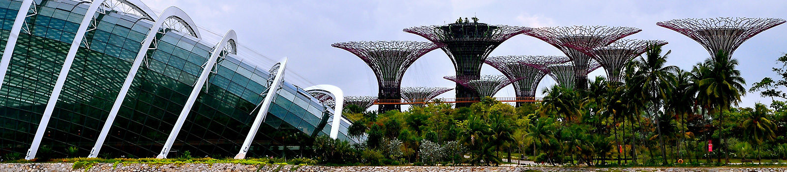 Einfuhrbestimmungen singapur zigaretten