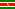 Flagge der Republik Suriname