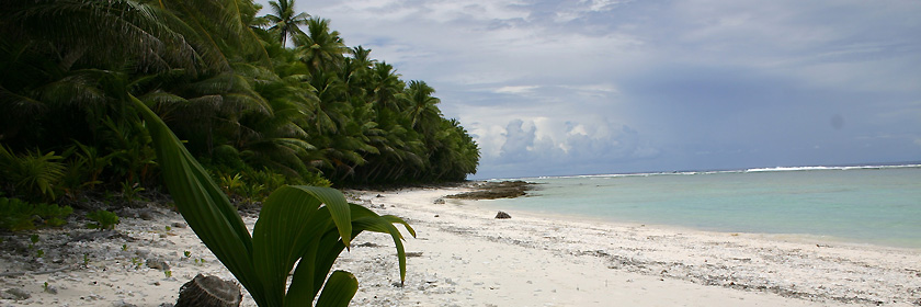 Notruf und Auslandsvertretungen für das Territorium Amerikanisch-Samoa (Außengebiet der USA im südpazifischen Ozean)