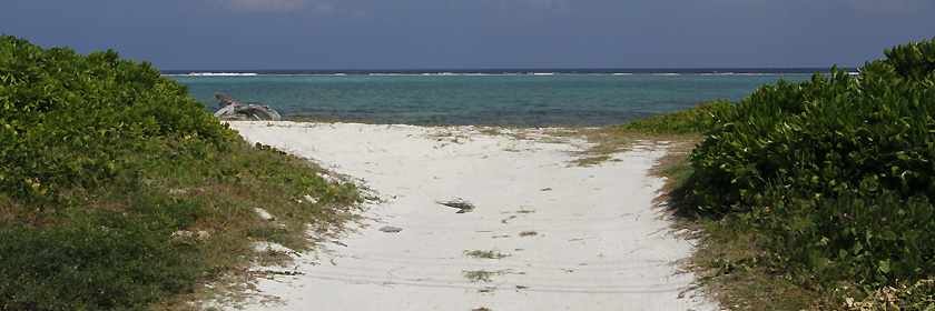 Zollbestimmungen für die Kaimaninseln (Cayman Islands – Britisches Überseegebiet)