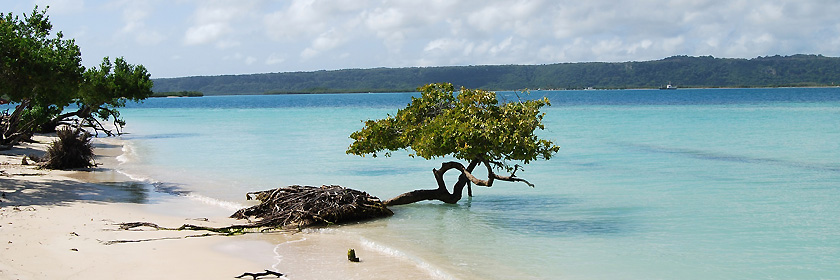 Zollbestimmungen für Niue (Selbstverwaltetes Territorium in freier Assoziierung mit Neuseeland)