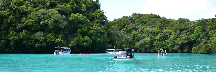 Einreisebestimmungen für die Republik Palau