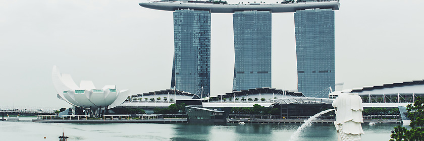 Regelungen für das Reisen mit Haustieren (Heimtieren) in die Republik Singapur